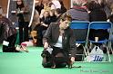 Crufts2011_2 1139